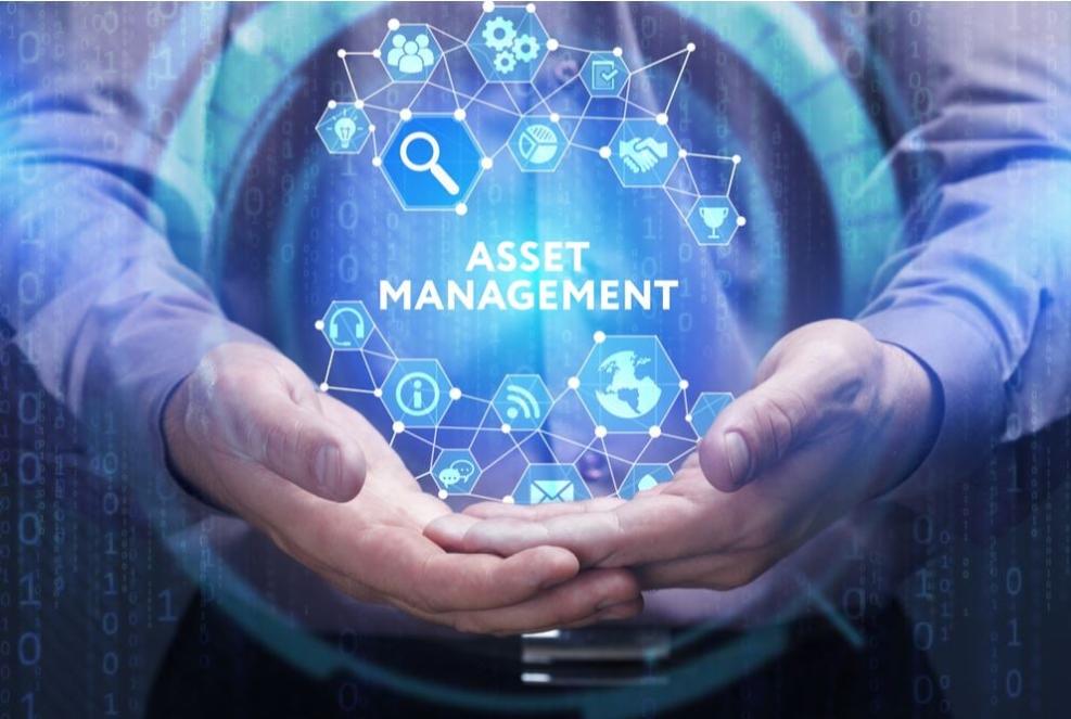 How Can IT Asset Management Improve My Business's Efficiency?